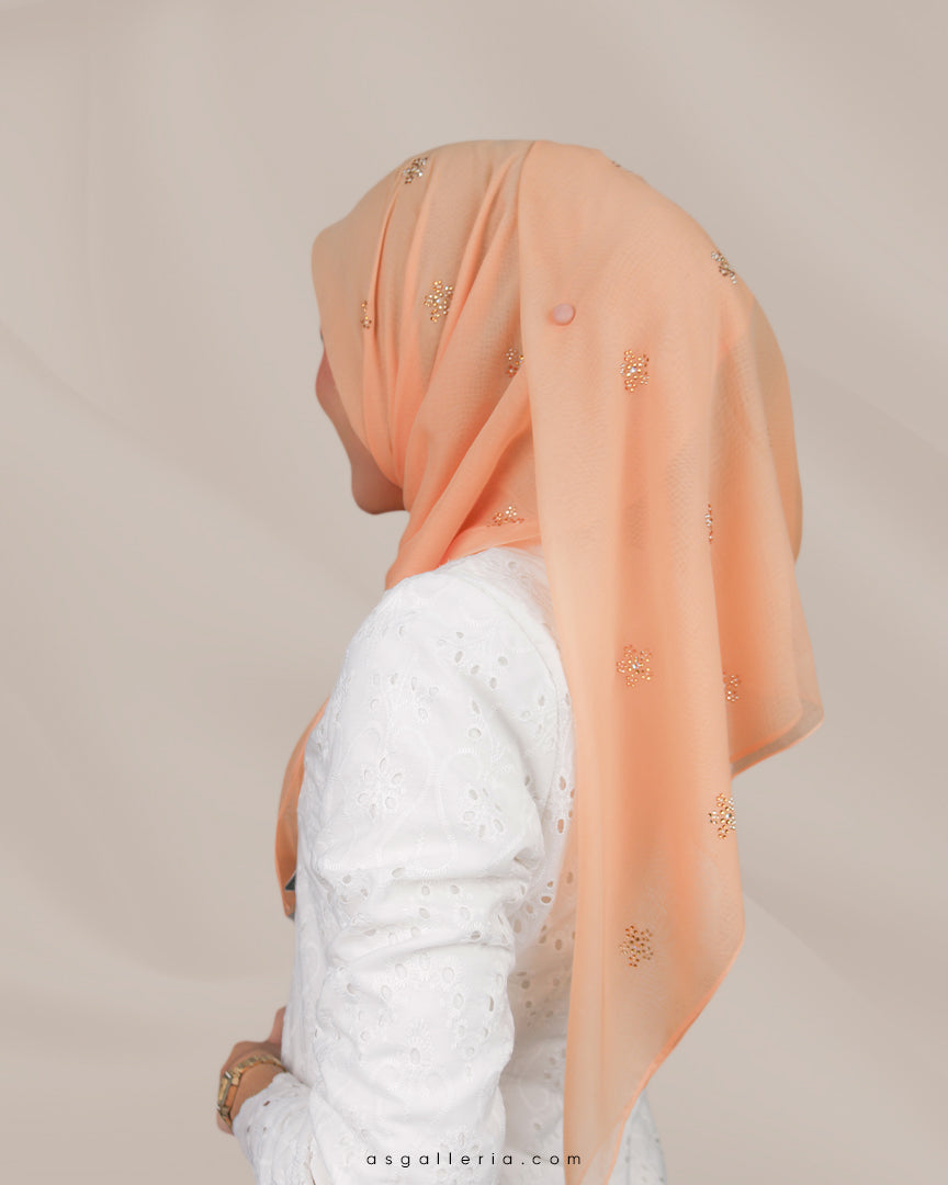 BAWAL CAHAYA AIDILFITRI